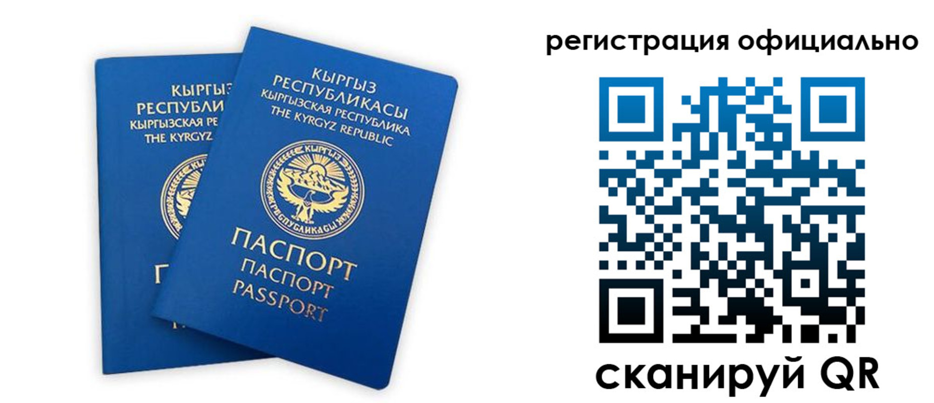 прописка поиск в Тогучине